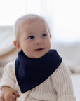 Premium Bandana Bibs 2 Pack | Wild Dinosaurs & Storm