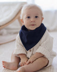 Premium Bandana Bibs 2 Pack | Wild Dinosaurs & Storm