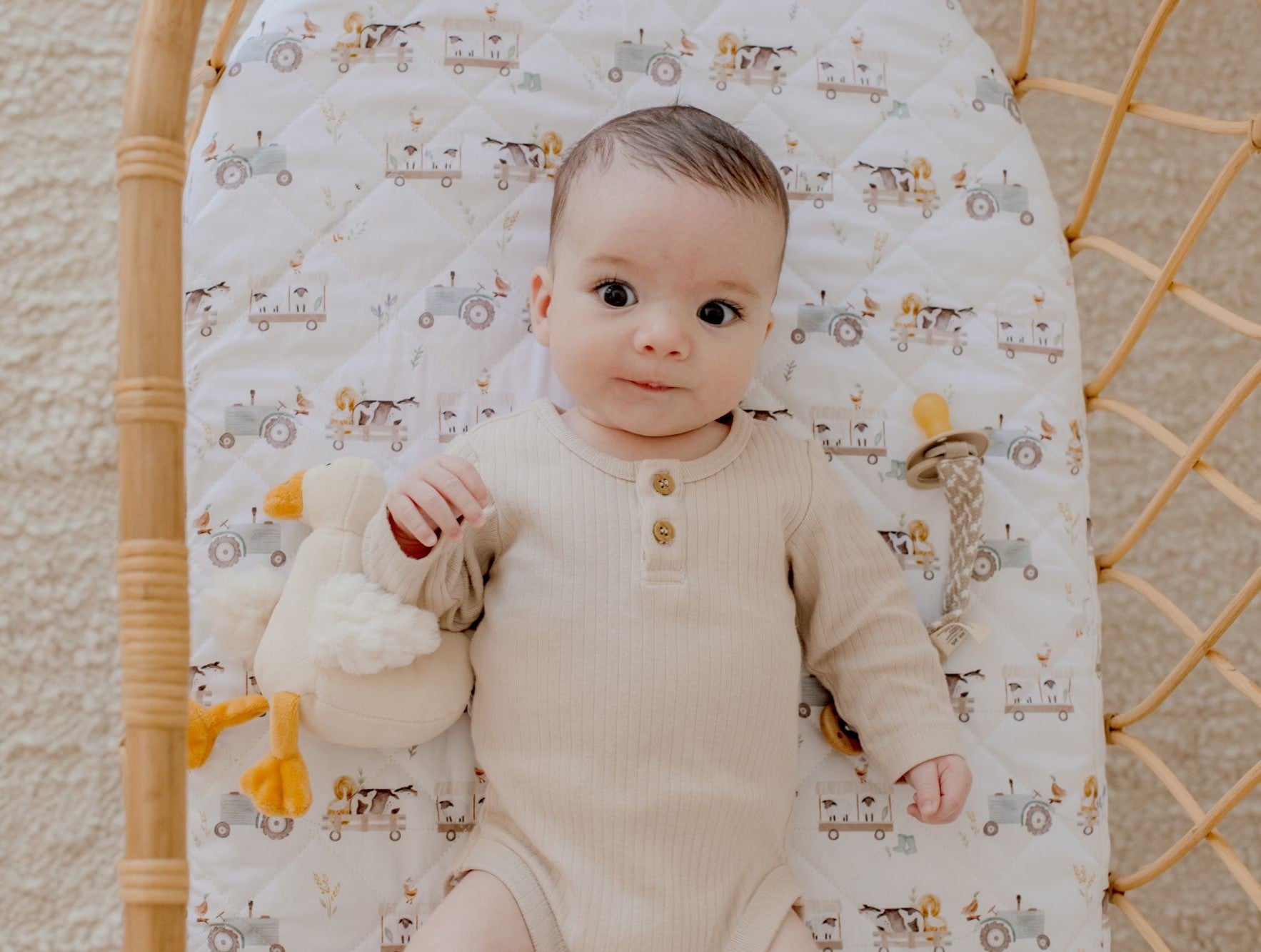 Waterproof Sheet/Change Mat Cover Oakwood Farm Bambella