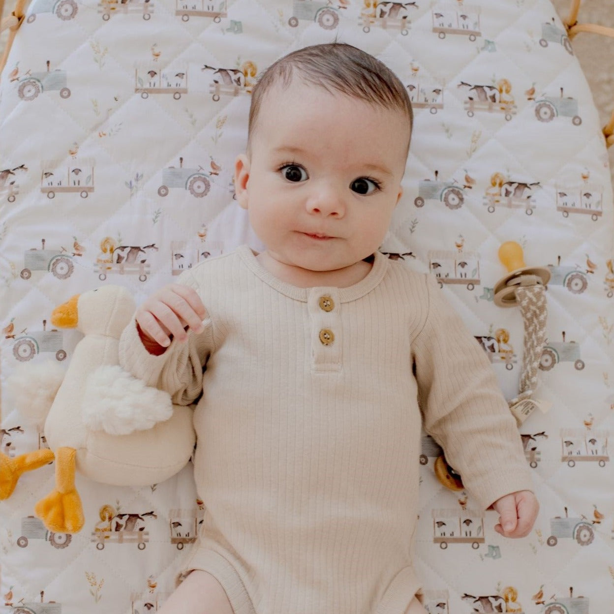 Waterproof Sheet/Change Mat Cover Oakwood Farm Bambella