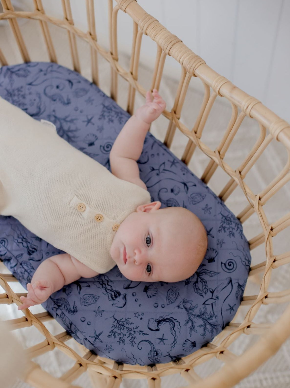 Designer bassinet clearance