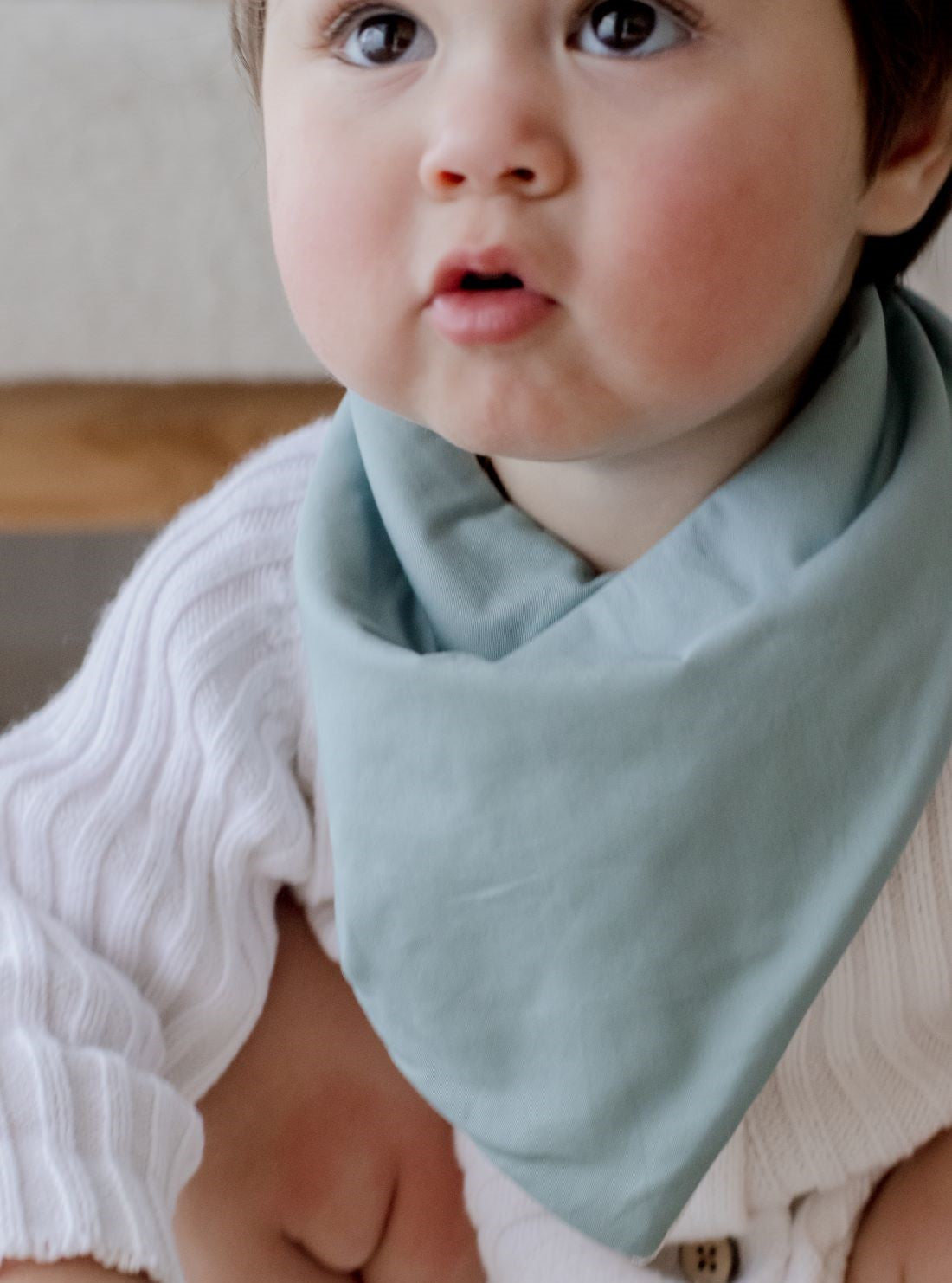 Bandana Bibs 2 Pack | Botanical &amp; Lagoon