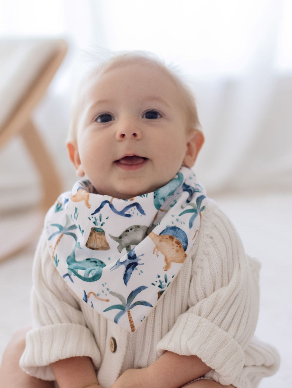 Bandana Bibs 2 Pack | Wild Dinosaurs &amp; Storm