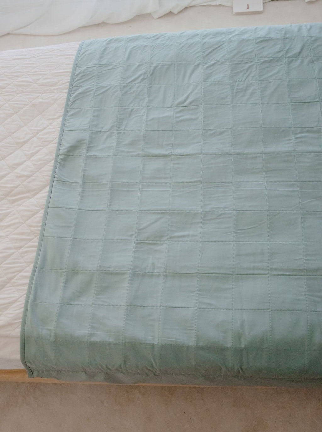 Toilet Training Sheet | Lagoon