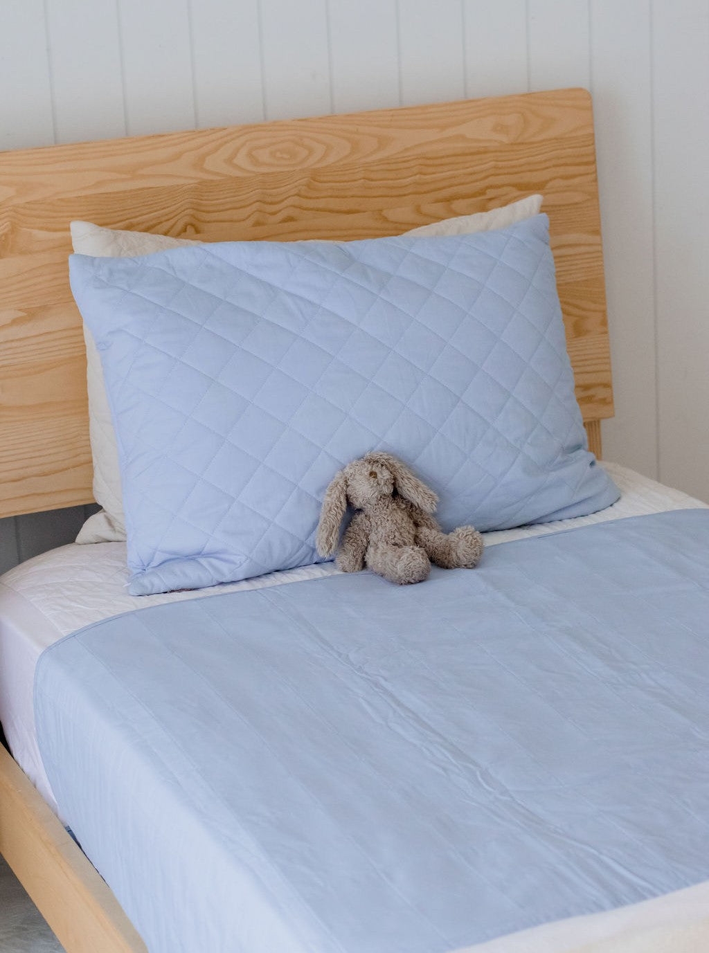 Toilet Training Sheet | Sky Blue