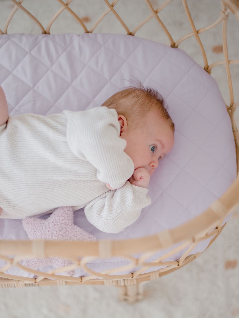 Waterproof store bassinet cover