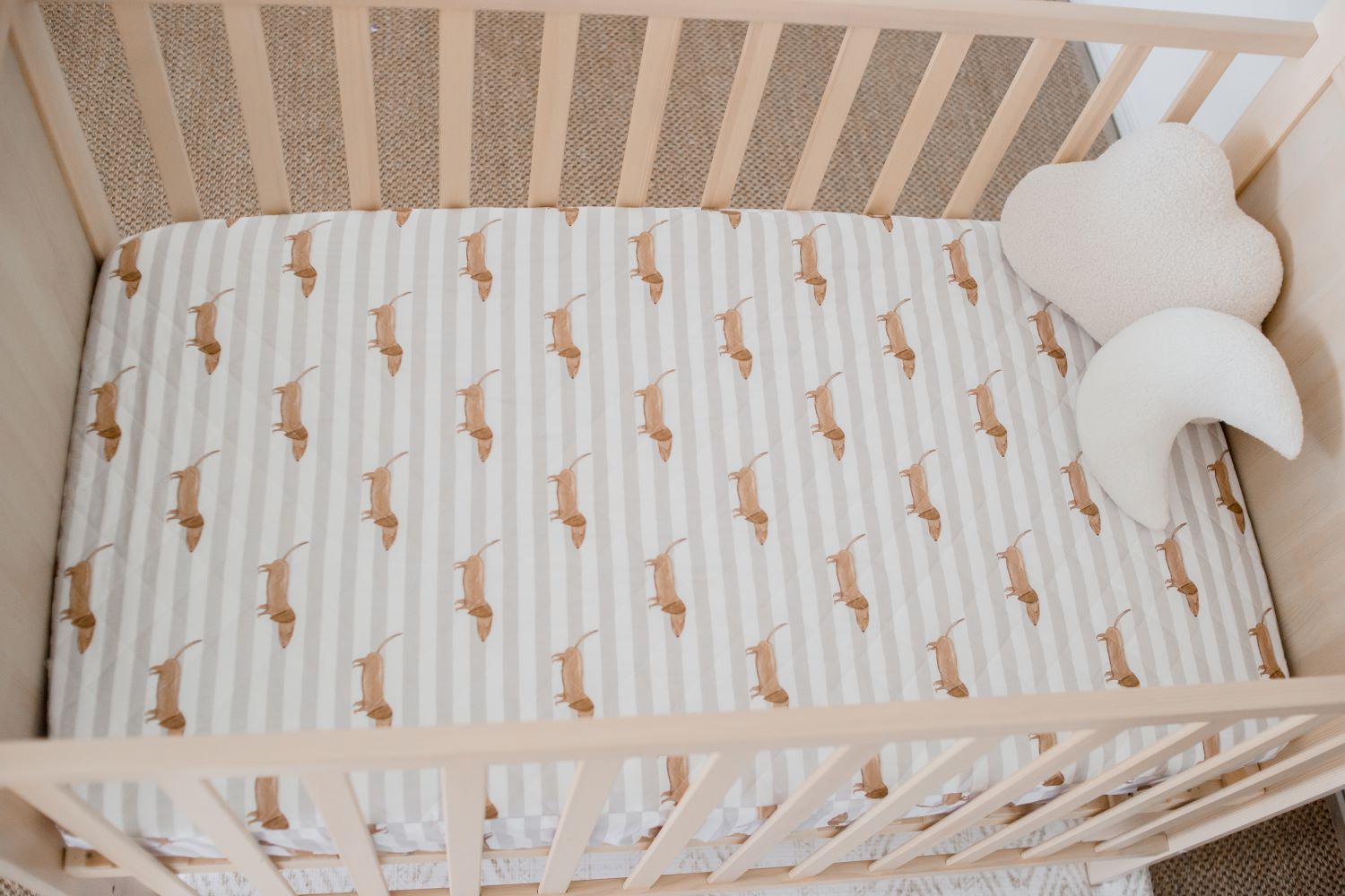 Dachshund 2024 crib sheet