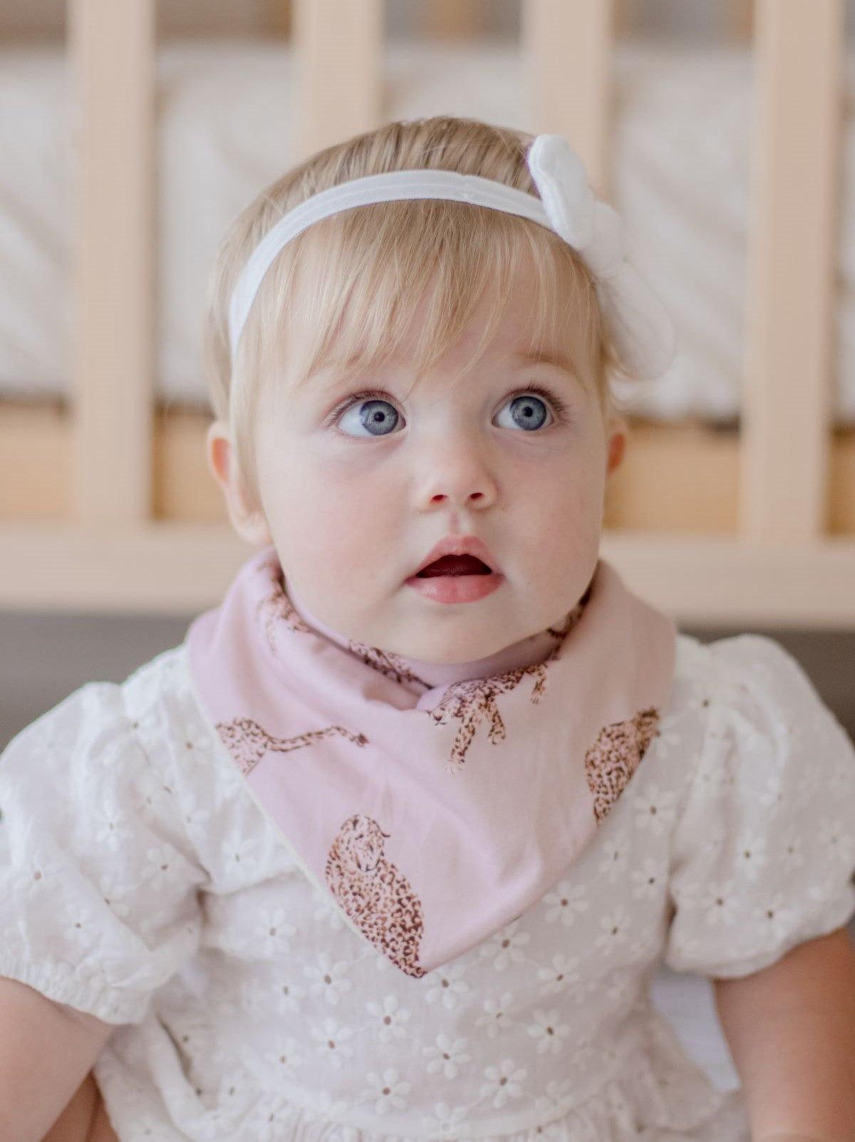 Premium Bandana Bibs 2 Pack | Queen of the Jungle &amp; Chestnut
