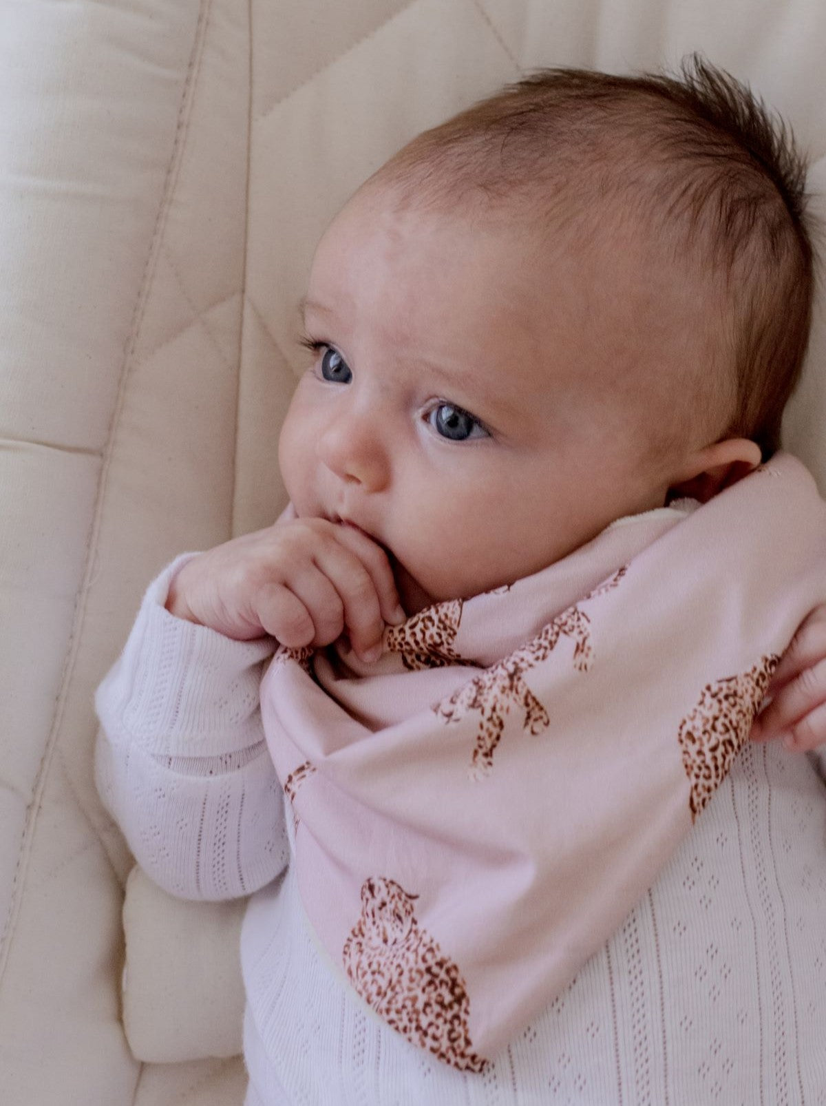 Premium Bandana Bibs 2 Pack | Queen of the Jungle &amp; Chestnut