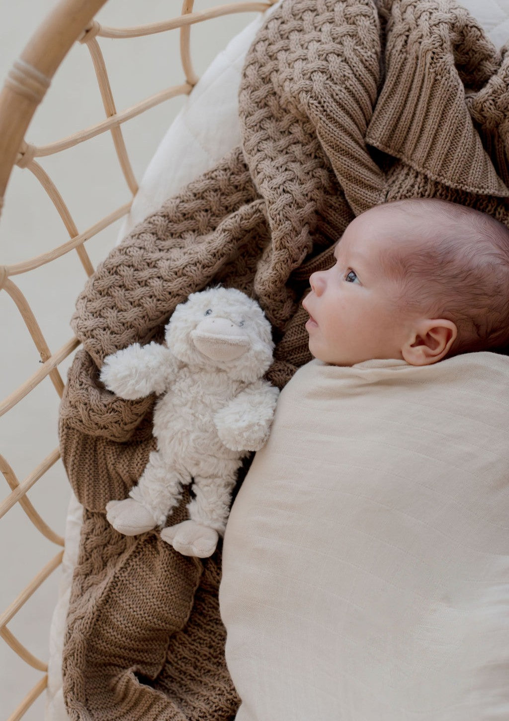 Cotton Knit Blanket | Walnut